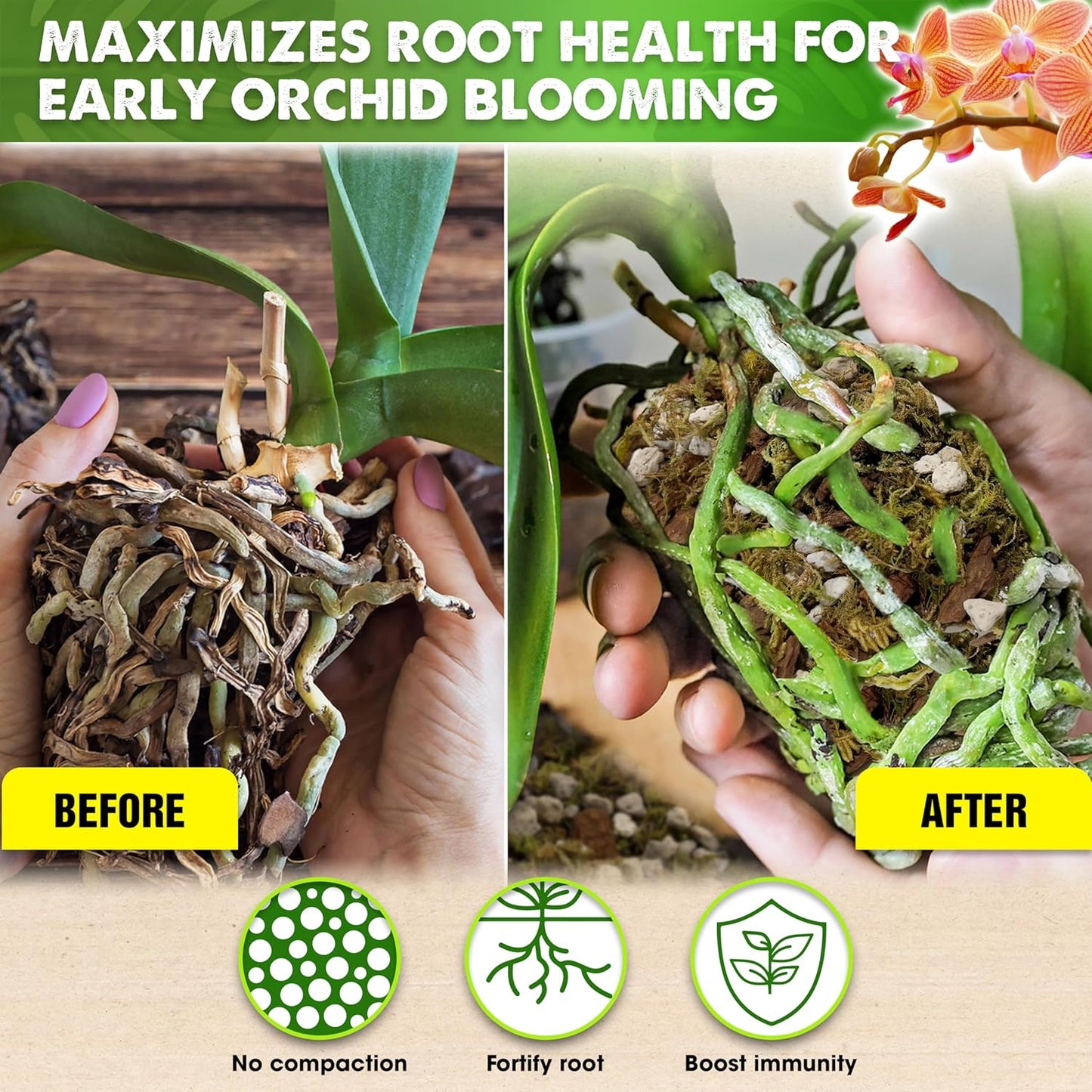 [Upgraded] DUSPRO Orchid Potting Mix for Repotting with Forest Moss, Pine Bark, Perlite & Pumice, Orchid Bark Potting Mix, Orchid Repotting Soil, Drainage Indoor Potting, Orchid Pot Not Included, 20QT