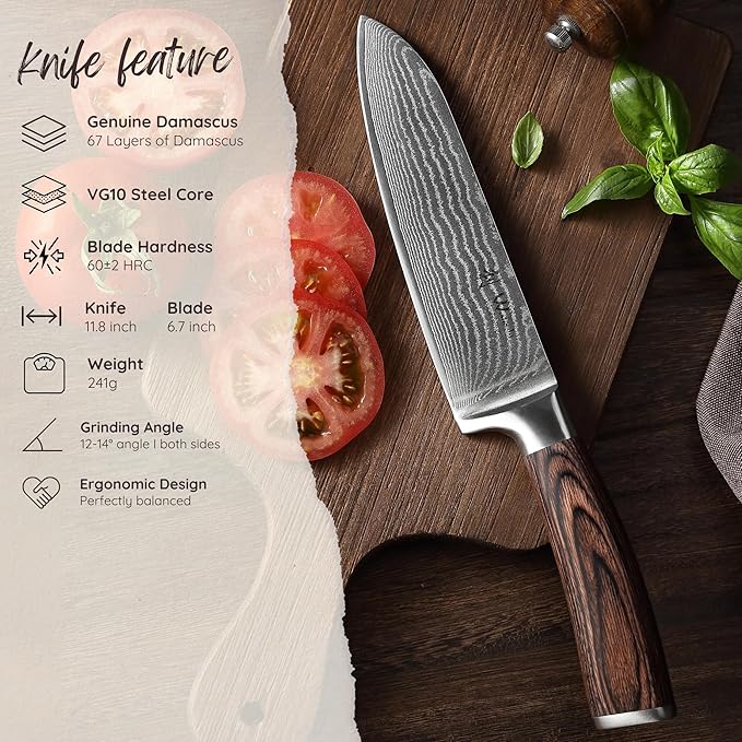 Wakoli EDIB Damascus Santoku Knife – 6.7-Inch Japanese Style Kitchen Knife | Genuine 67-Layer Damascus Steel Blade with VG10 Core | Ergonomic Pakkawood Handle | Professional Cooking Knife in Gift Box