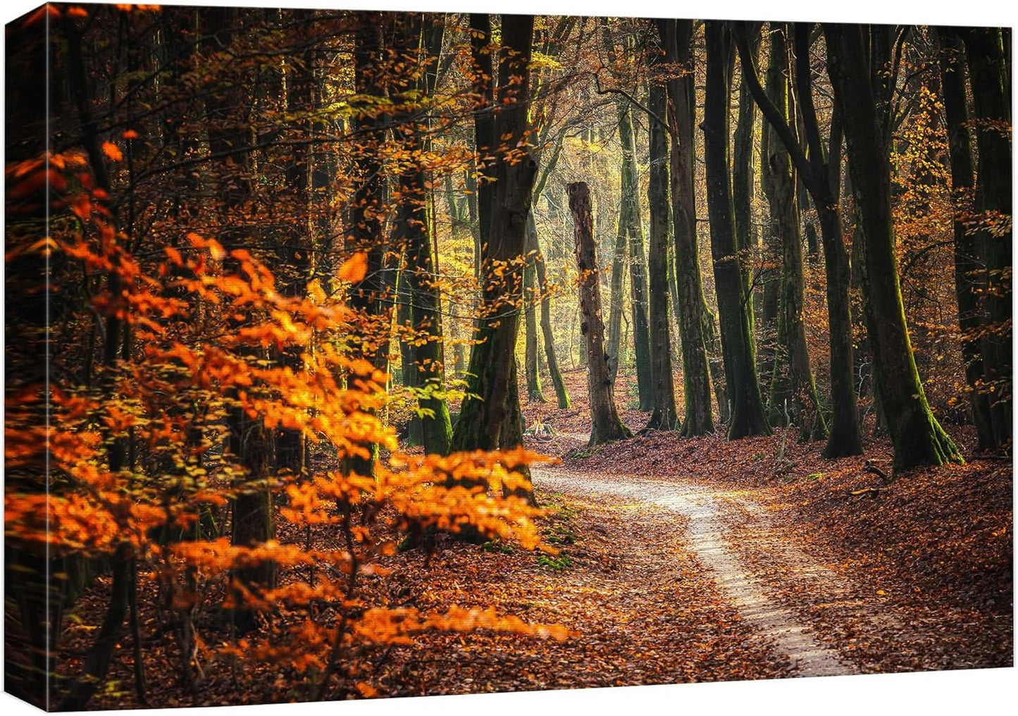 wall26 Canvas Print Wall Art Autumn Fall Orange Leaf Forest Tree Trail Nature Wilderness Photography Realism Earth Scenery Rustic Scenic Landscape Colorful for Living Room, Bedroom, Office - 24"x36"