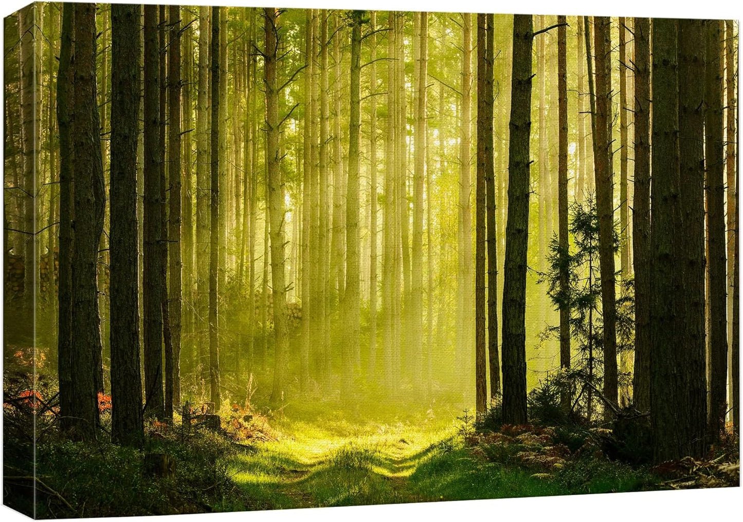 wall26 Canvas Print Wall Art Springtime Summer Sunlight Green Forest Nature Wilderness Photography Realism Earth Scenery Rustic Scenic Landscape Colorful for Living Room, Bedroom, Office - 12"x18"