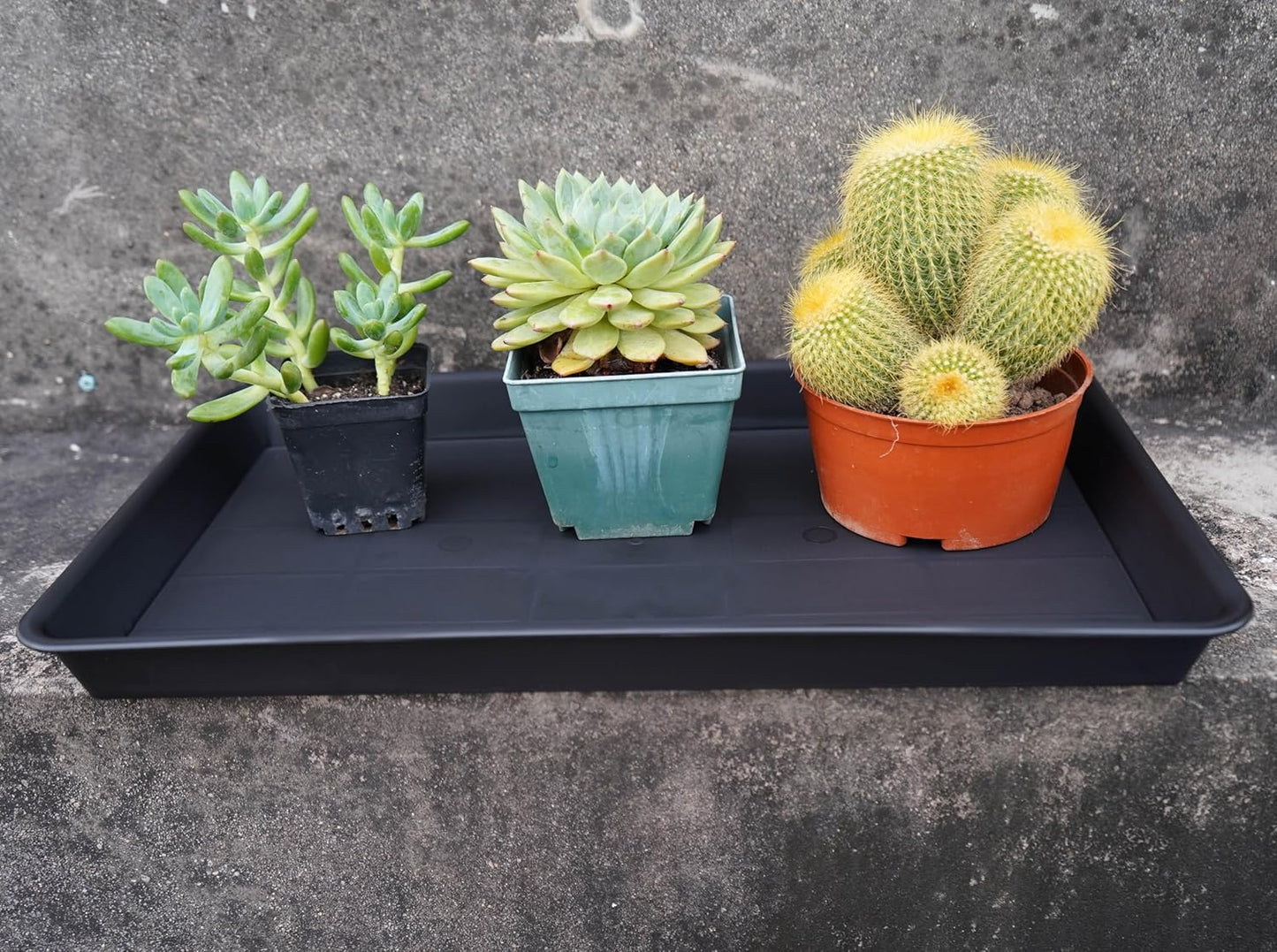 2 Pack Plant Growing Nursery 1020 Trays, Plant Saucer Tray, Heavy Sturdy Seed Starting Trays, Plant Saucer for Indoors No Holes, Seed Starter Growing Tray (22"x11.2", Black)