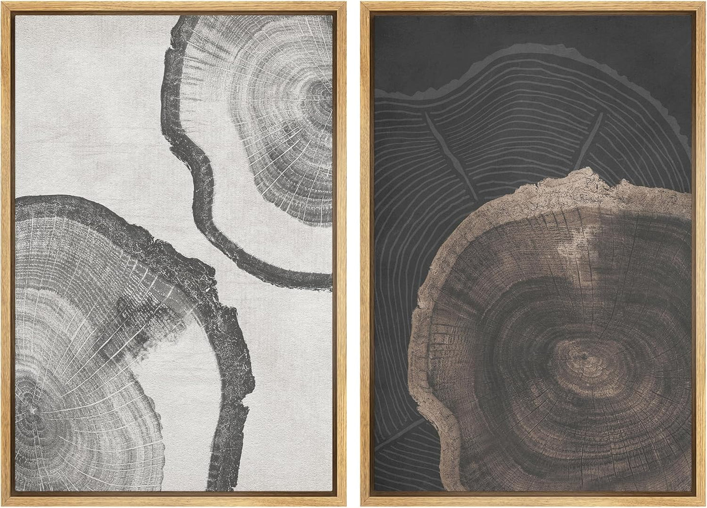 SIGNWIN Framed Canvas Print Wall Art Wood Tree Rings Abstract Illustrations Minimalist Modern Wall Art Neutral Boho Decor for Living Room, Bedroom, Office - 24"x36"x2 Natural
