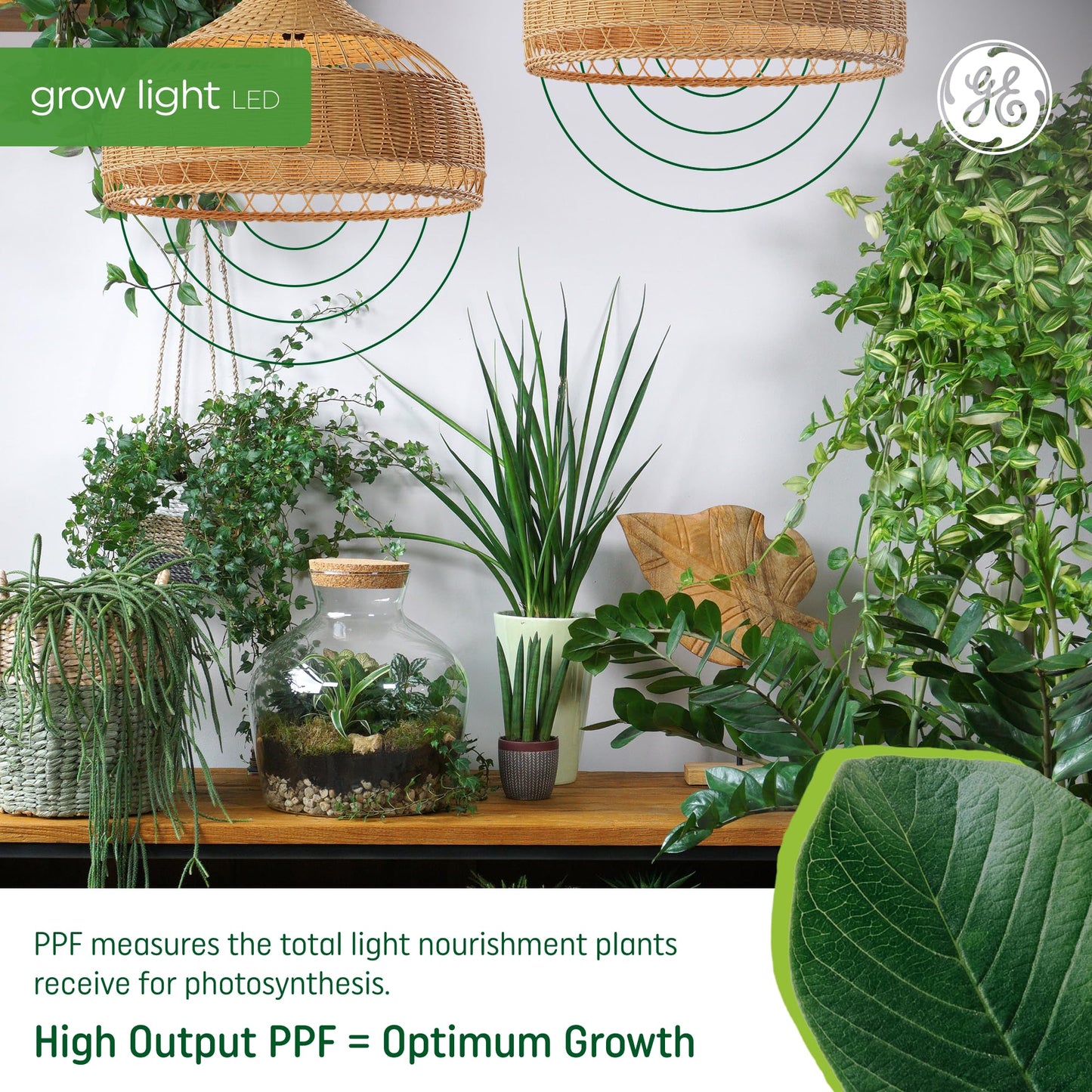 GE Grow Light for Plants, LED Bulb, Advanced Red Light Spectrum, 2 Pack, Plastic, Flowers & Fruit