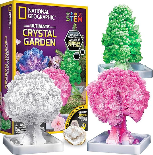 National Geographic Craft Kits for Kids - Crystal Growing Kit - Grow a Crystal Garden in Just 6 Hours, Educational Craft I...