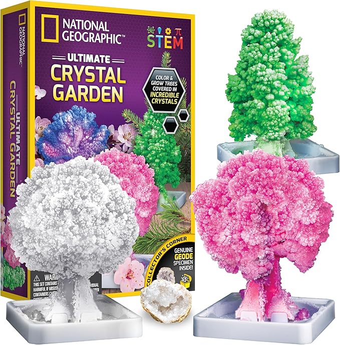 National Geographic Craft Kits for Kids - Crystal Growing Kit - Grow a Crystal Garden in Just 6 Hours, Educational Craft I...