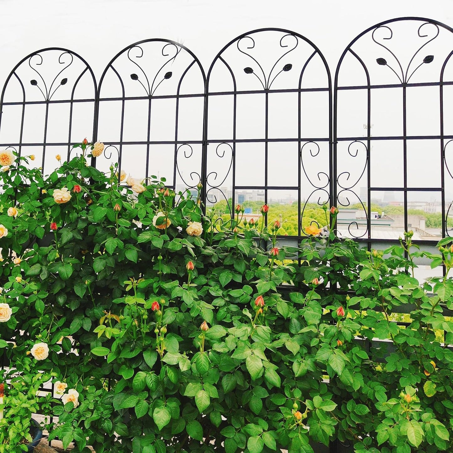 6 Pack Metal Garden Trellis for Climbing Plants, 86.7" Tall Rustproof Outdoor Trellis Panel with Vine Lines Design, Decorative Black Iron Plant Support for Vine, Rose, Flower, Garden Wall