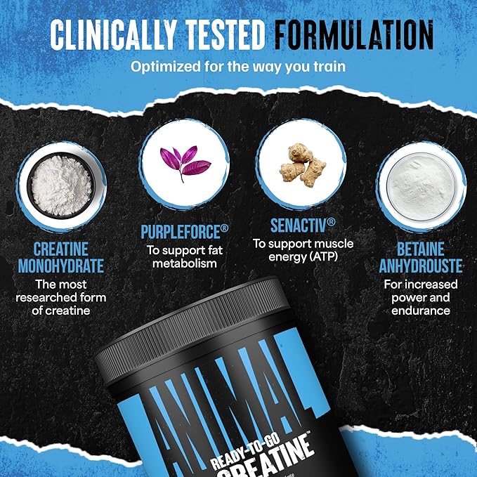 Animal Supercharged Creatine Powder - Flavored Creatine Monohydrate Enhanced with Betaine Anhydrous, PurpleForce & Senactiv, Strength, Endurance, Muscle Recovery for Men and Women - Watermelon, 300g