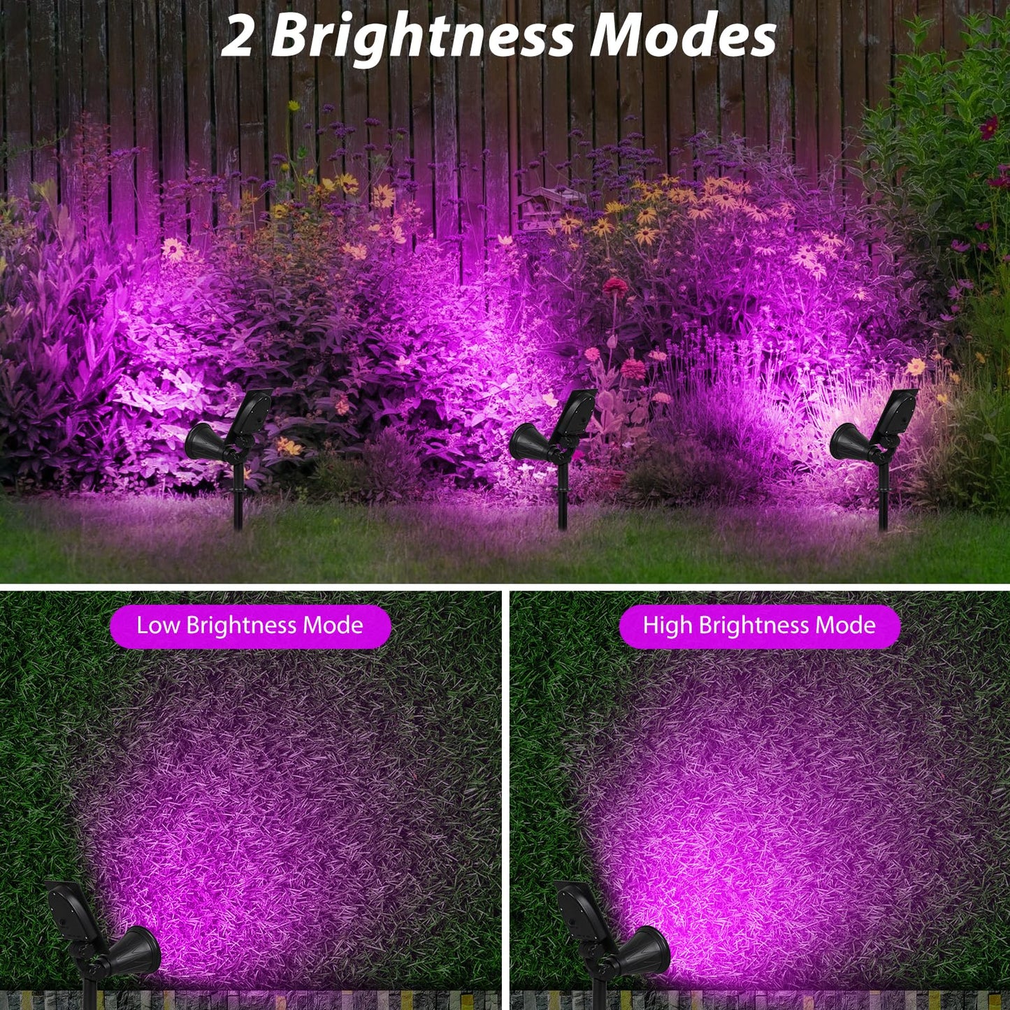T-SUN Solar Spotlights, 4 LED Waterproof Outdoor Lights, 180° Adjustable, 1 Pack, Purple, Model SG_B07FNK8ZR2