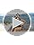 B2prity One Piece Swimsuit for Women Tummy Control Ruched Bathing Suit Push Up Tie Back Swimwear Shell Stitched