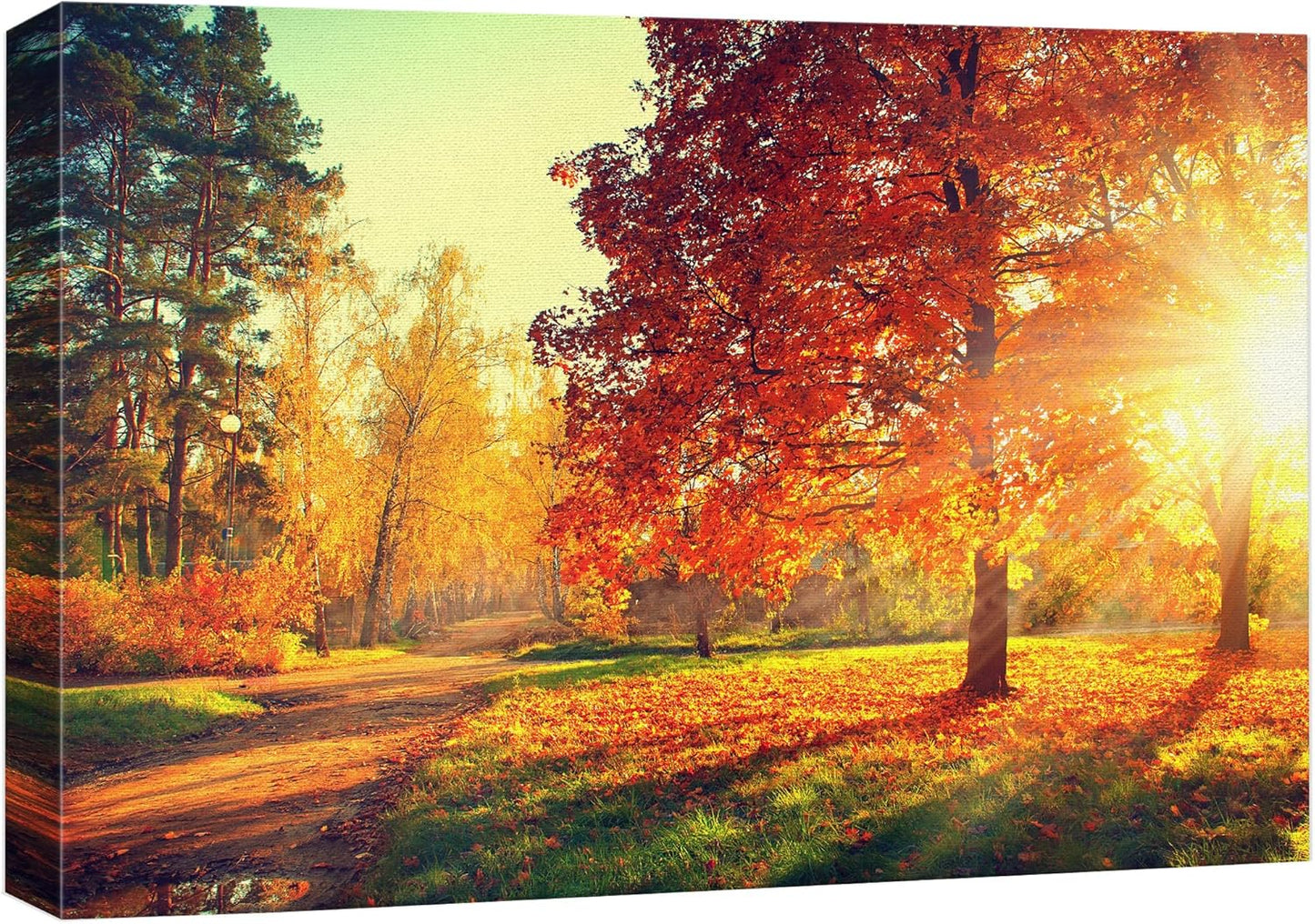 wall26 Canvas Print Wall Art Path Through Red & Orange Autumn Park Nature Wilderness Photography Modern Art Rustic Scenic Colorful Multicolor for Living Room, Bedroom, Office - 12"x18"
