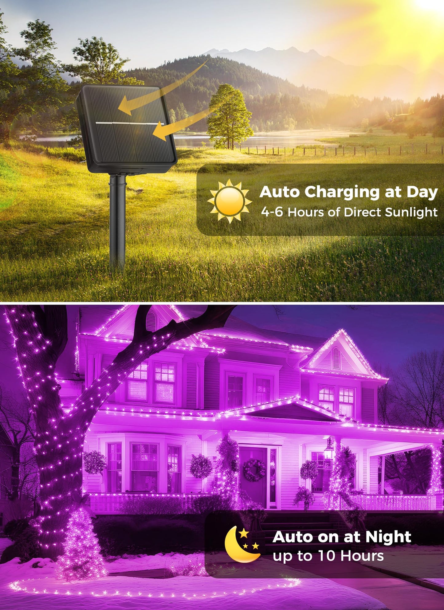 Brightown Halloween String Lights 200Led Solar String Lights Outdoor  Solar Powered Lights Ip65 Waterproof For Party Garden Yard Home Holiday Tree Decoration Lighting (Purple  100Led-2Pack)