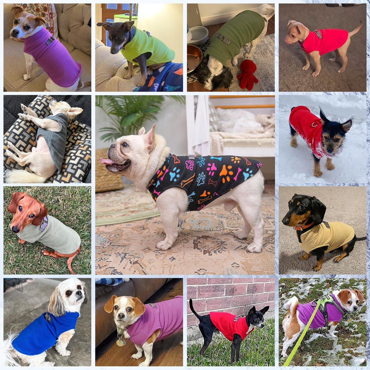 BEAUTYZOO Small Dog Sweater Fleece Vest Winter Jacket, D-Ring Leash Attachment for XS S Puppy Medium Sized Breeds Dogs, Cold Weather Dog Clothes Windproof Keep Warm, Black Bones Paw M
