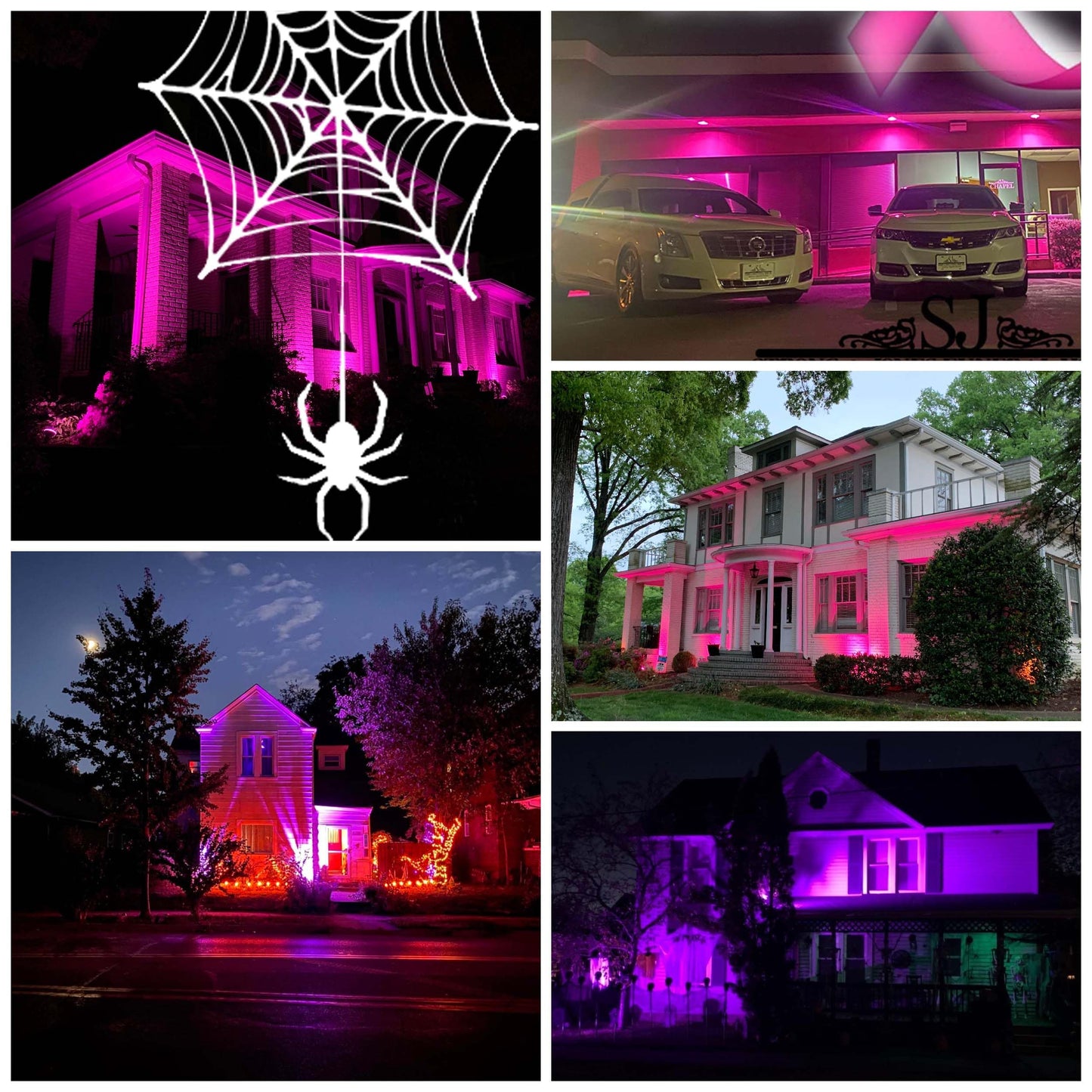 Alide Pink Mr16 Gu5.3 Led Bulbs 5W 20W 35W 50W Halogen Equivalent 12V Low Voltage Mr16 Led Pink Bulbs For Halloween Outdoor Landscape Yard Garden Tree Pool Holiday Lighting 38 Deg 6 Pack