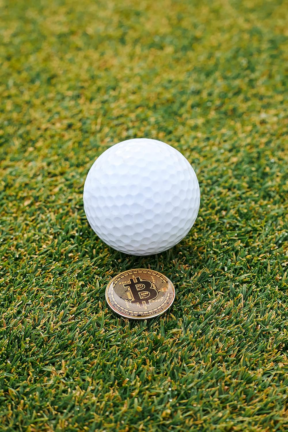 Bitcoin Golf Ball Markers Value Pack - Works with Most Hat Magnetic Clips and Divot Repair Tools Men and Women Golf Gift Accessories Funny Ball Mark Bulk Lot
