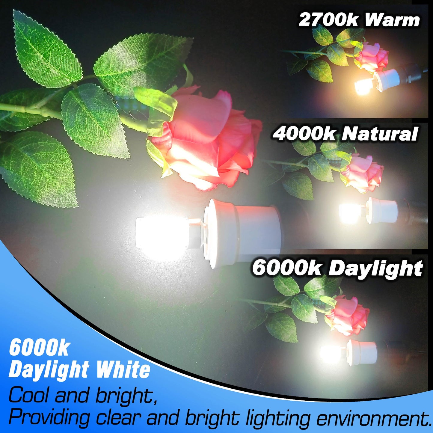 Heifymi E12 40 Watt Equivalent Led Bulbs 6000K Daylight White 450Lm 4W 120V Led Candelabra Bulb With T6 C7 E12 Small Base For Wall Sconces Pendant Chandelier Ceiling Fan Lighting  Non-Dimmable  4 Pack