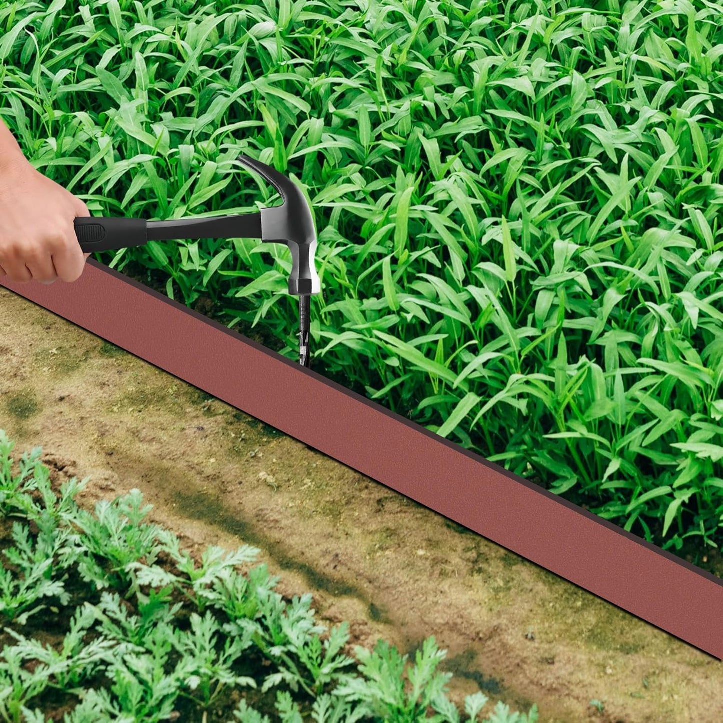 Landscape Edging Coil 66 FT, 2 Inch Tall Garden Edging Border Flexible Lawn Edging Kit with 60 Spikes, Plastic Edging for Landscaping Flower Beds Yard Pathway Paver Edging (2IN x 66FT, Brown)