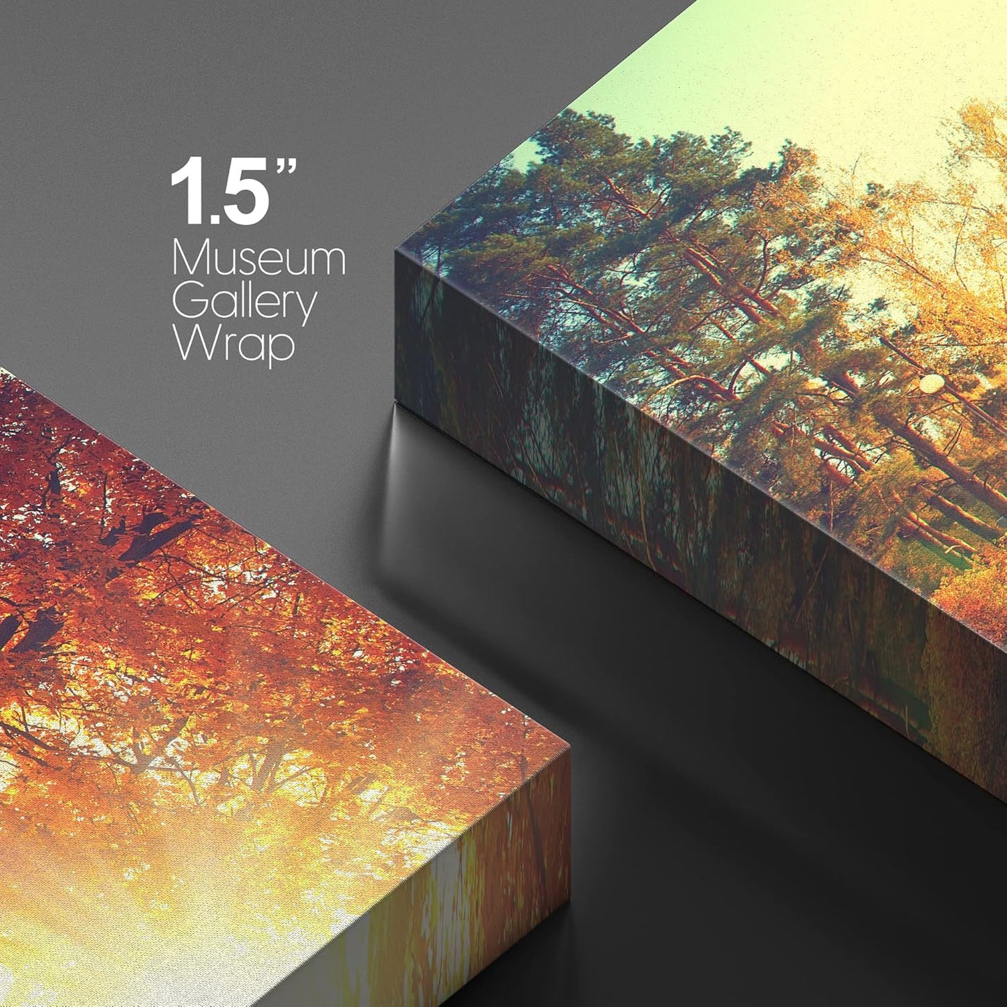 wall26 Canvas Print Wall Art Path Through Red & Orange Autumn Park Nature Wilderness Photography Modern Art Rustic Scenic Colorful Multicolor for Living Room, Bedroom, Office - 12"x18"