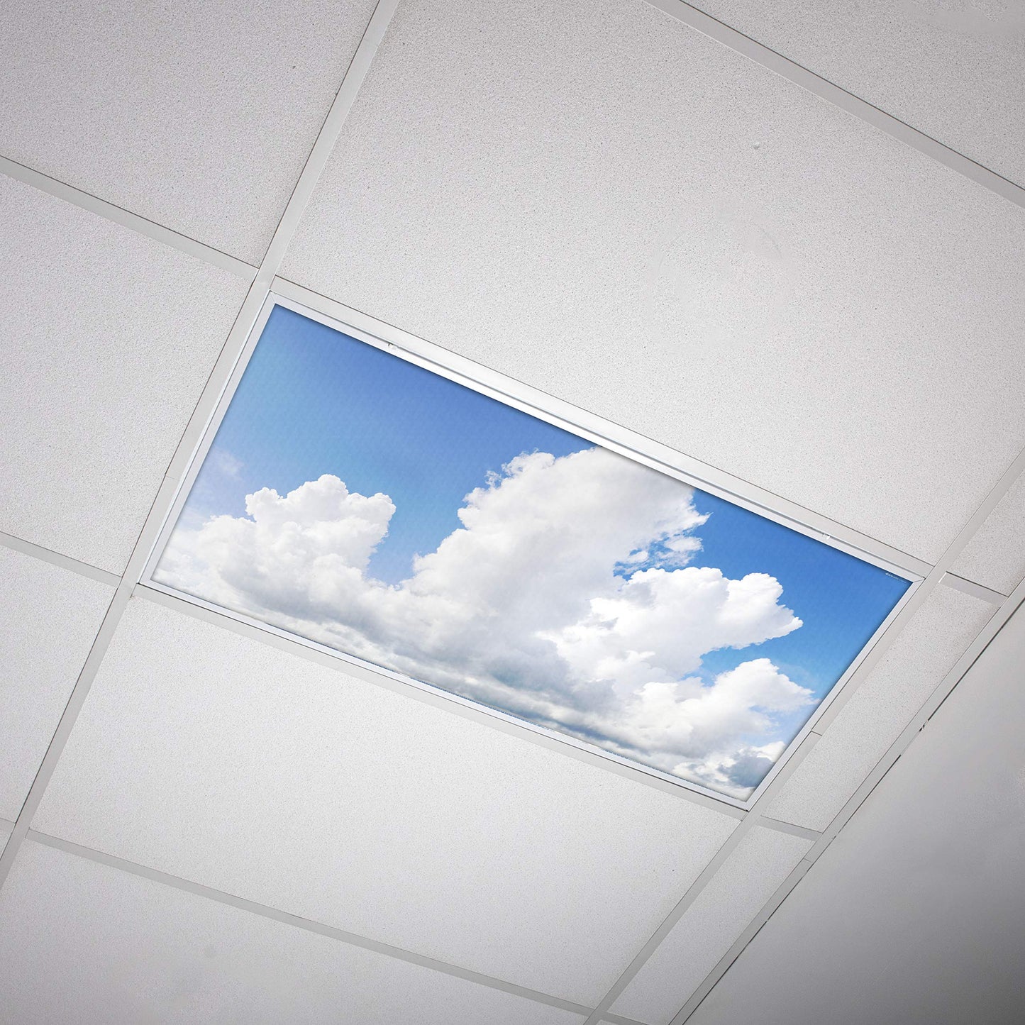 Octo Lights Fluorescent Light Covers 2X4 - Majestic Cumulus, Backlit Film, Model Cld-015, Reduces Headaches, Enhances Focus