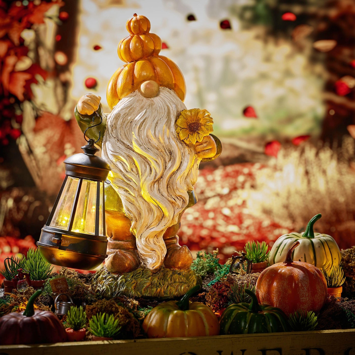 TeresaS Collections Fall Decor  Pumpkin Gnomes Decoration  Autumn Gnome Holding Lantern With Solar Lights  Waterproof Fall Gnomes Resin Outdoor Fall Decor  Fall Gift Outdoor/Indoor