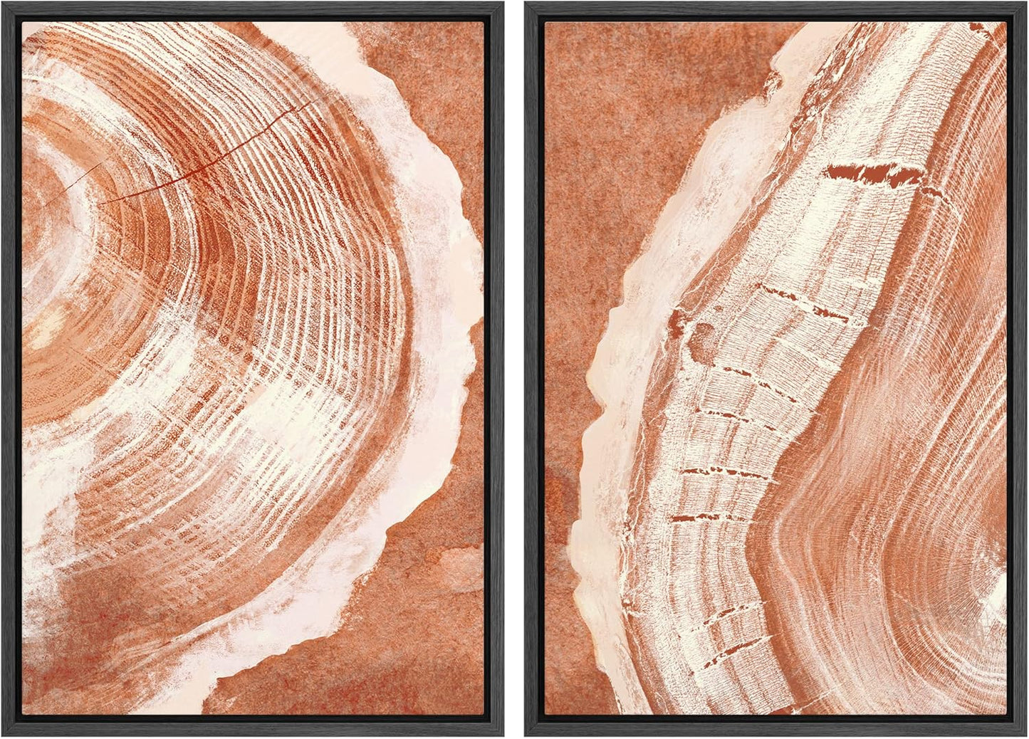 SIGNWIN Framed Canvas Print Wall Art Set Orange Closeup Wood Tree Ring Details Nature Wilderness Illustrations Modern Art Rustic Colorful Ultra for Living Room, Bedroom, Office - 16"x24"x2 Black