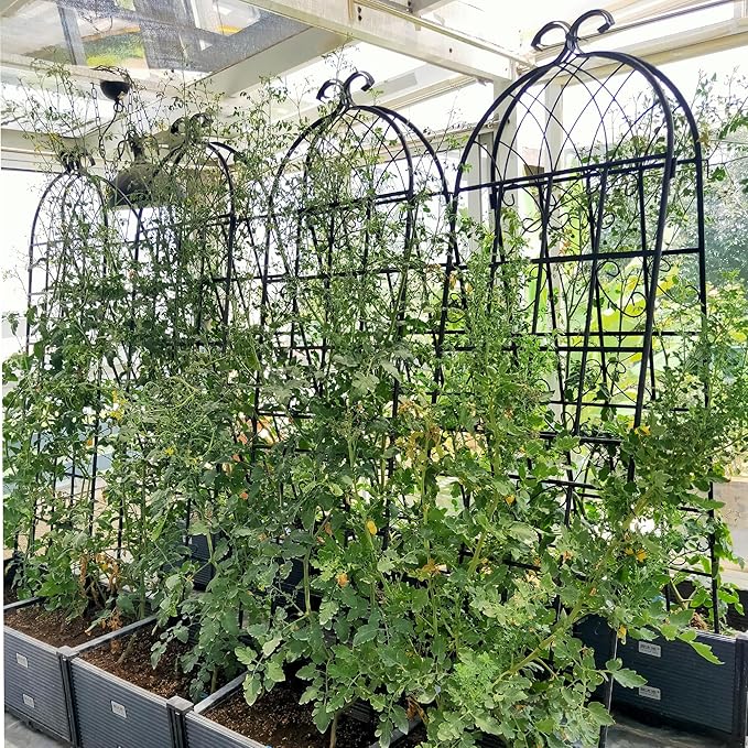 Metal Garden Trellis Rustproof Trellis for Climbing Plants Outdoor Flower Support (Black-4 Pack, 71"x19.7")