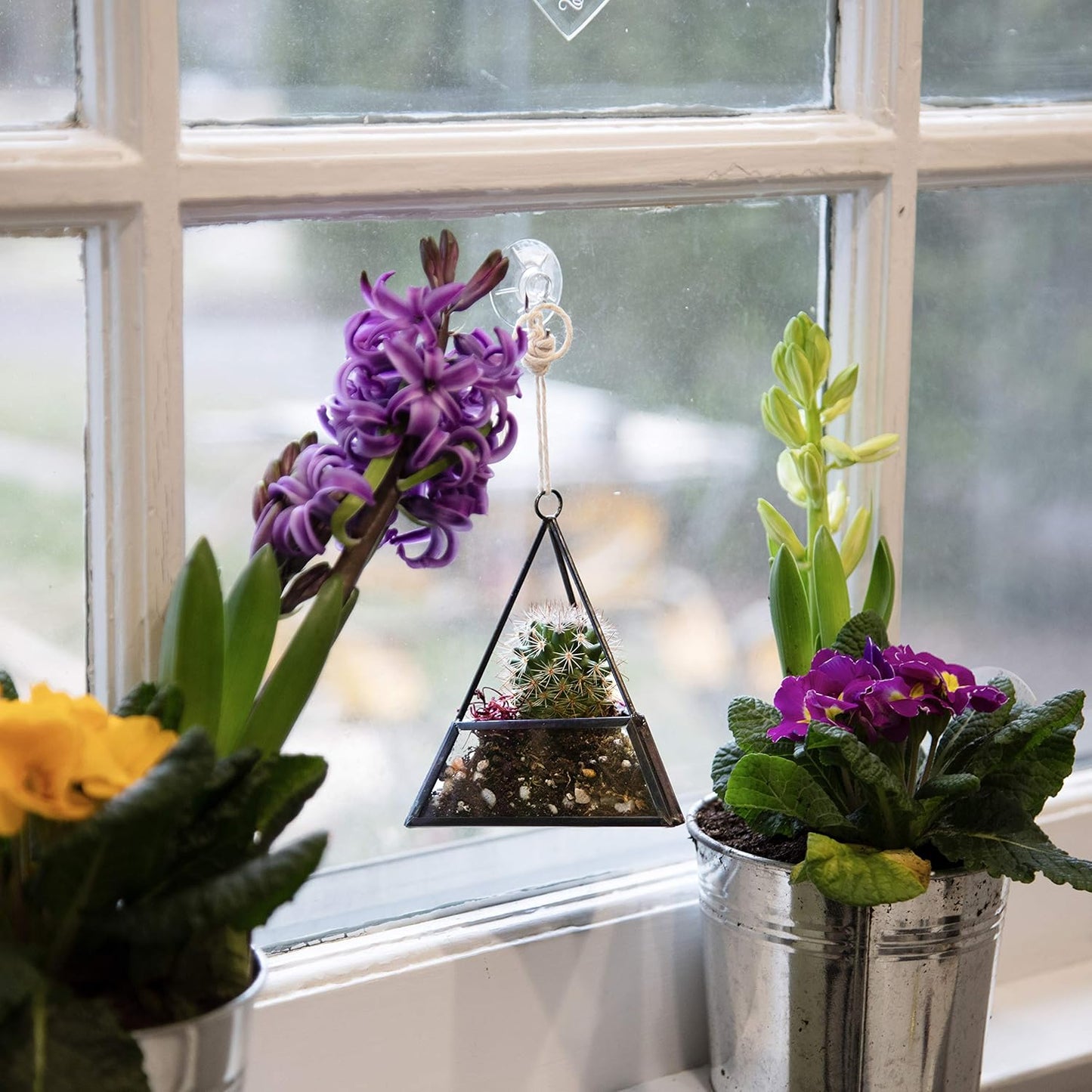 D'Eco Glass Geometric Plant Terrarium 3Pk - Hanging Brass Triangle, House & Prism Planters - Succulents, Air Plants, Moss - Summer Home, Garden, Wedding & Office Botanical Decor- Gift for Plant Lovers
