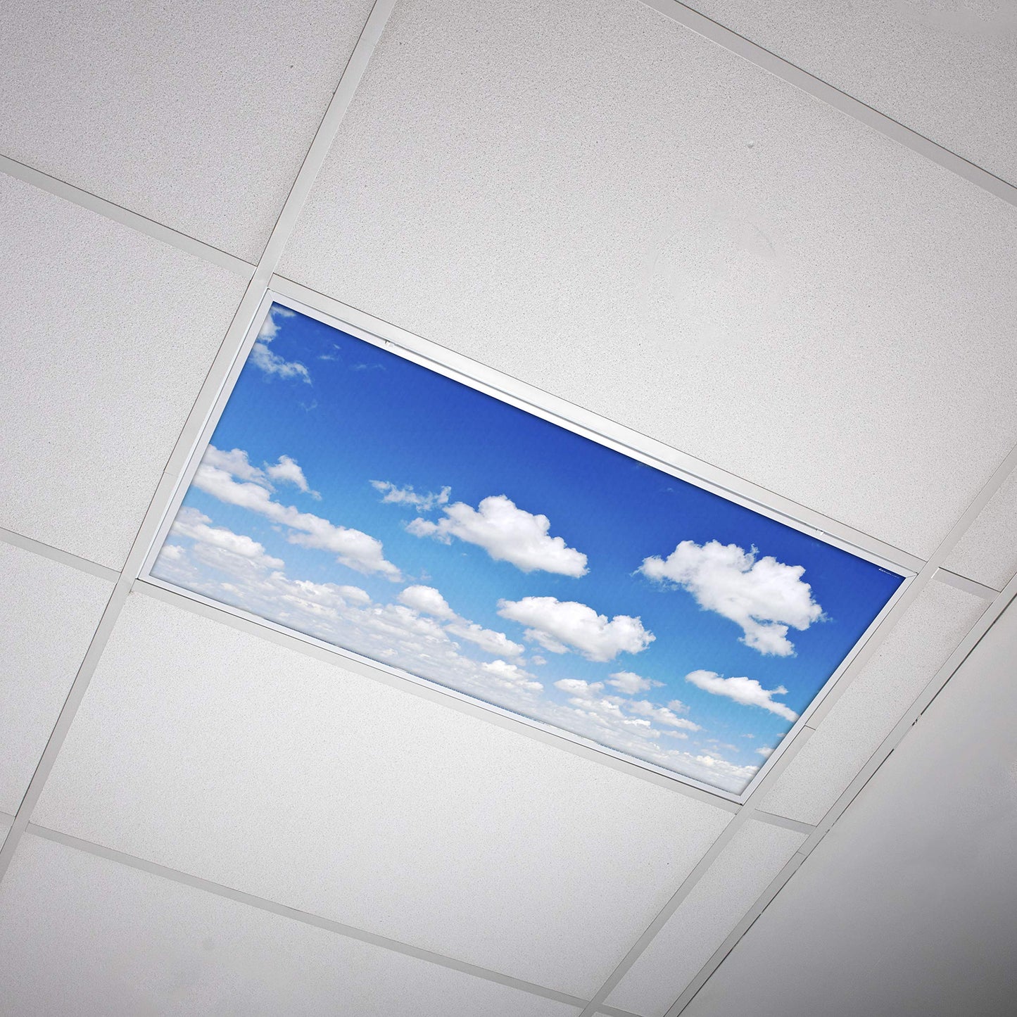 Octo Lights Fluorescent Light Covers, Acrylic, 2X4 (22.38In X 46.5In), Model Cld-011, Improve Focus & Reduce Headaches