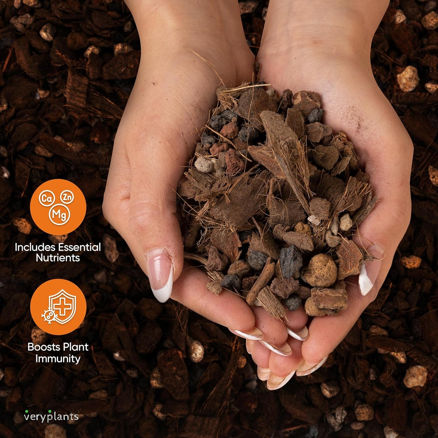 Molly's Orchid Potting Mix - Premium Gritty Soilless Orchid Mix - Chunky High Drainage vs Standard Potting Soil for Indoor Plants - Contains Bark, Coco Chips, Akadama, Pumice, Lava Rock 3 Dry Quarts