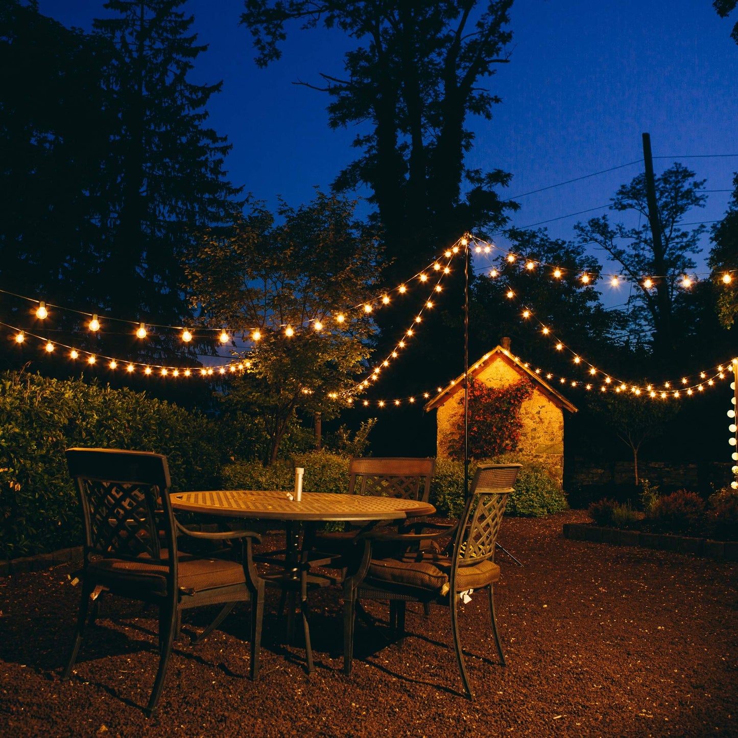Hometown Evolution G40 Globe String Lights with Clear Bulbs, 10 Foot Black Wire, White, Model G40CL10FTBL