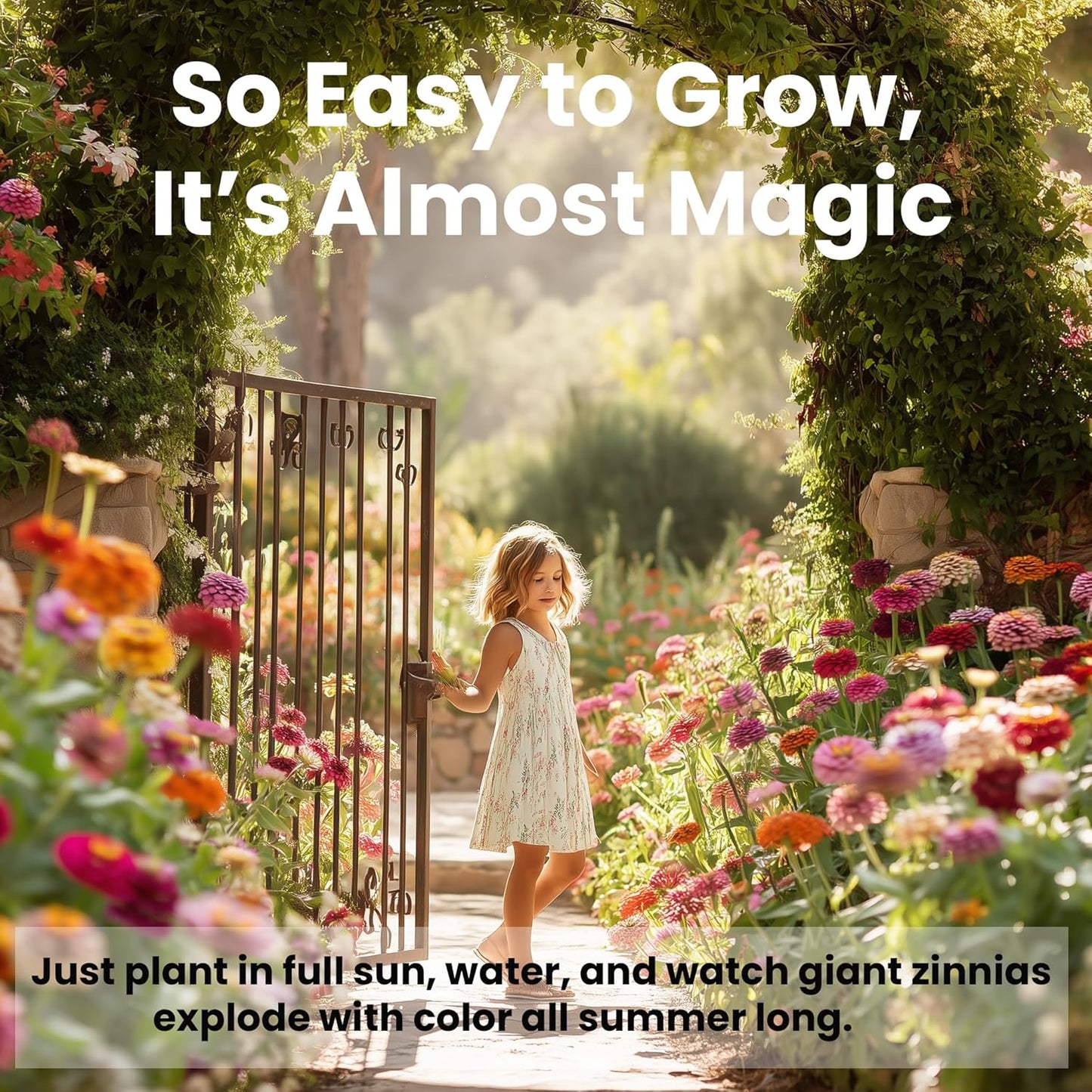 NatureZ Edge Zinnia Seeds for 2025 Planting Outdoors, Over 8250 Flower Seeds, 2 Oz, Non GMO Made in USA, Bulk Semillas De Flores para Sembrar, California Giants, Easy to Grow Zinnia Seed Mix