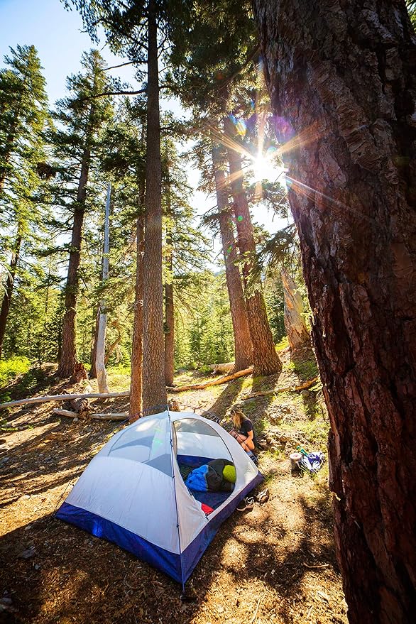 ALPS Mountaineering Lynx 2-Person Backpacking and Camping Tent