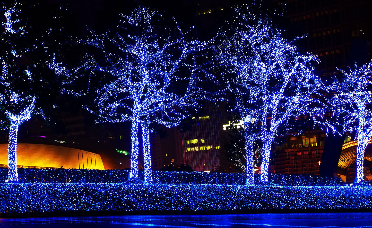 612 Vermont Blue Christmas Lights, 18’ Lighted Length, 20’ Total Length, UL Approved, Indoor/Outdoor Use, Model LHS100-2(0.34)-LHM