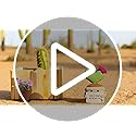 BRIFUFOUS Get Well Gifts for Women, Handmade Crochet Cactus – Plush Plant Gift with Encouragement Card for Desk Decor, Hom...