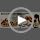 Rock Climbing Hangboard Training, Rock Climbing Fingerboard Door-Mounted Training Station, Equipped with Grip Points, Slop...