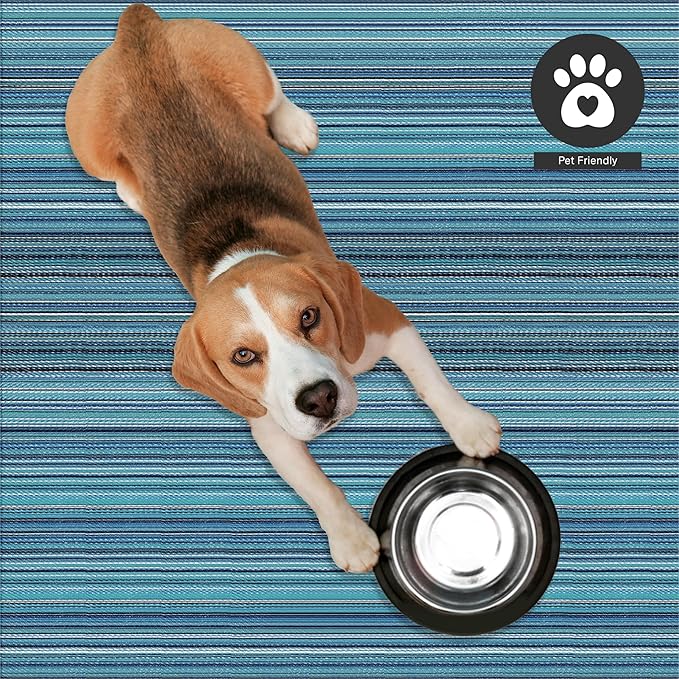 FH Home Outdoor Rug - Waterproof, Fade Resistant, Reversible - Premium Recycled Plastic - Striped - Porch, Deck, Balcony, Mudroom, Laundry Room, Patio - Havana - Turquoise Crease Free - 3 x 5 ft