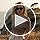 SIPHEW Polarized Sunglasses for Women | Vintage Square Sunglasses w UV400 Protection | Womens Wraparound Shade
