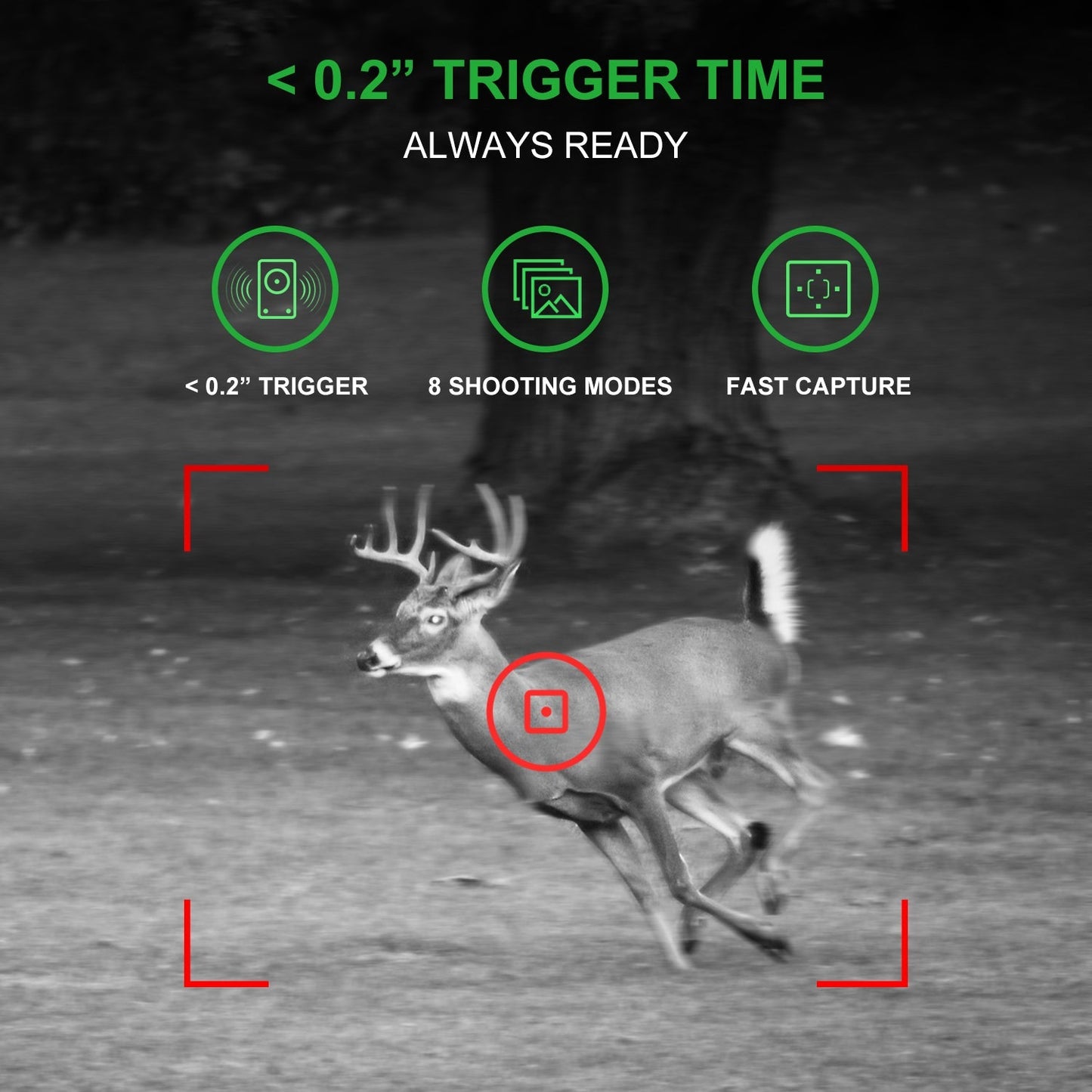 REXING H1 Blackhawk Night Vision Trail Camera Full HD 1920×1080