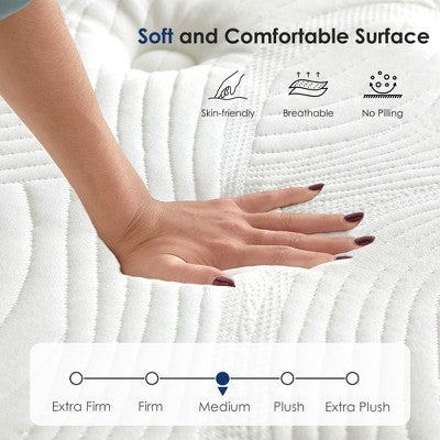 Dexmalle Hybrid Mattress