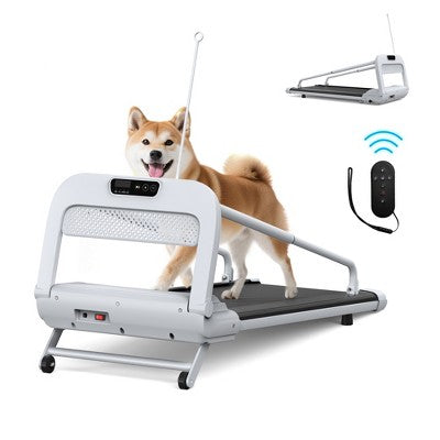 Electric Foldable Quiet Smart Pet Treadmill with 2.5HP Motor, Display, Adjustable Speed, for Small & Medium Dogs
