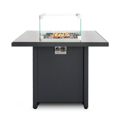 Mondawe 25" H x 30" W Steel Heat-Resistant Outdoor Fire Pit Table with Lid