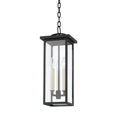 Troy Lighting Eden 3 - Light Pendant in Black Clear Shade