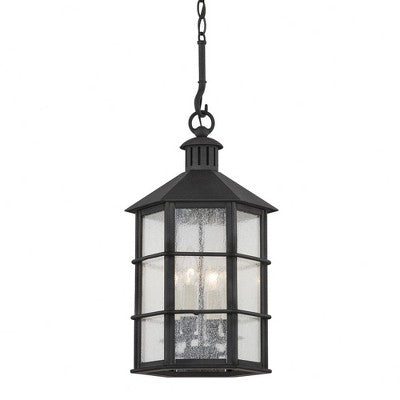 Troy Lighting Lake County 4 - Light Pendant in French Iron Clear Seeded Shade