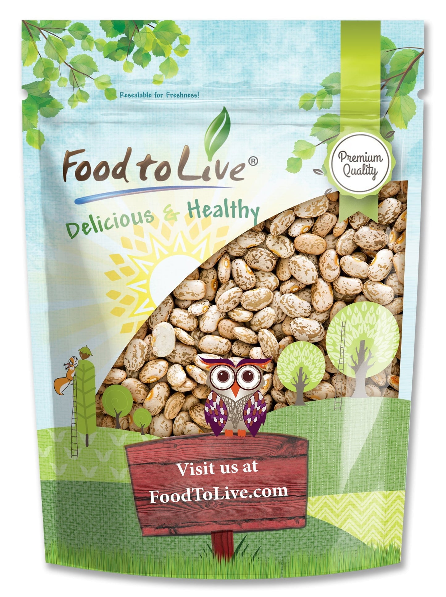 Pinto Beans, 1 Pound  Kosher, Raw, Vegan, Sproutable  By Food To Live