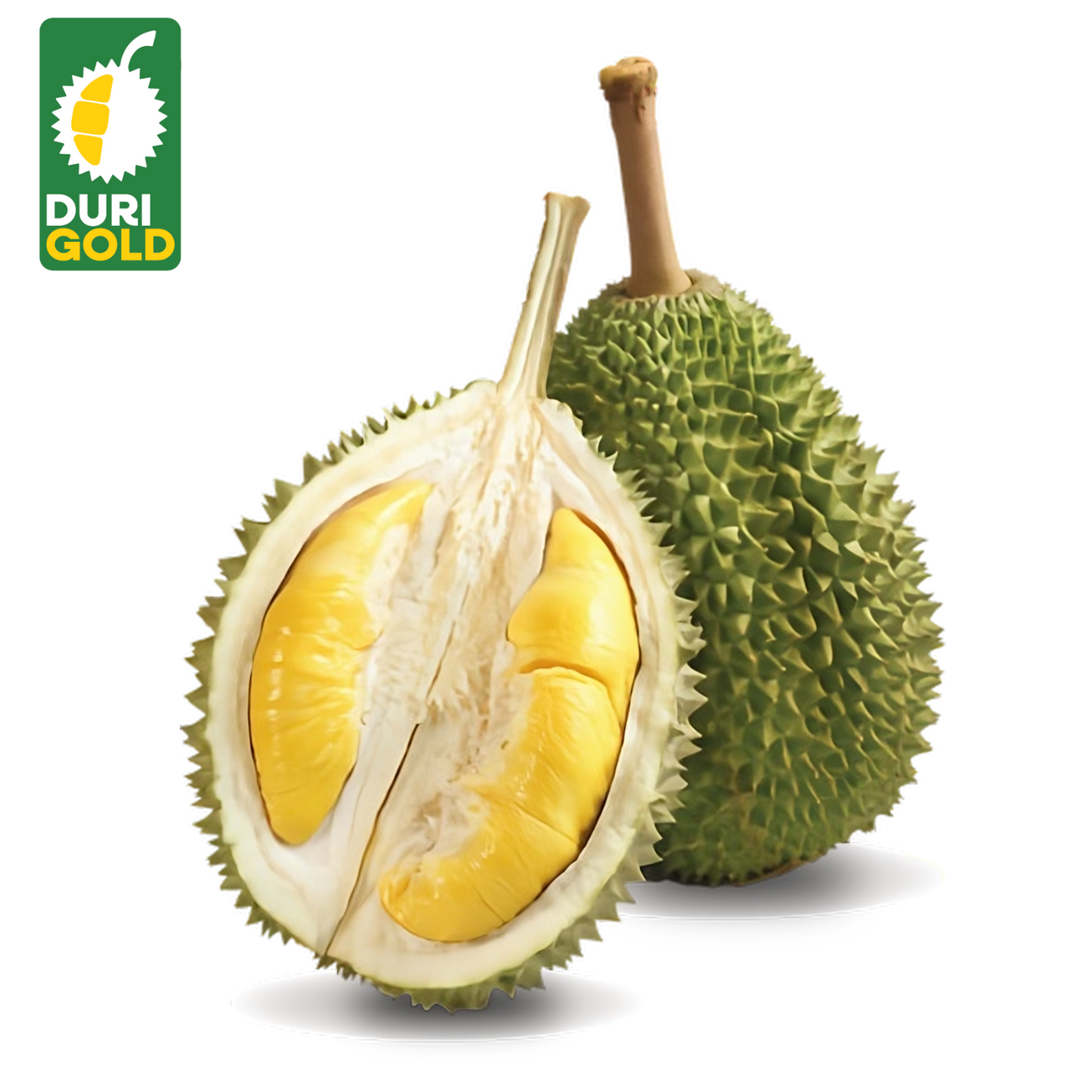 Premium Malaysian Musang King Durian (D197) - Whole Fruit 5-6lbs