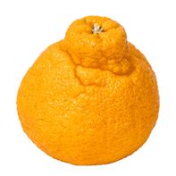 Sumo Mandarin️