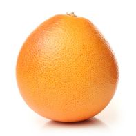 Organic Cara Cara Orange️