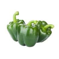 Organic Green Bell Pepper️