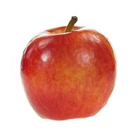 Jazz Apple️