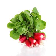 Red Italian Radish Bunch️